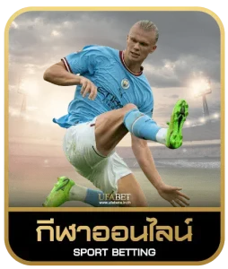 wild 4d slot เดิมพันกีฬา